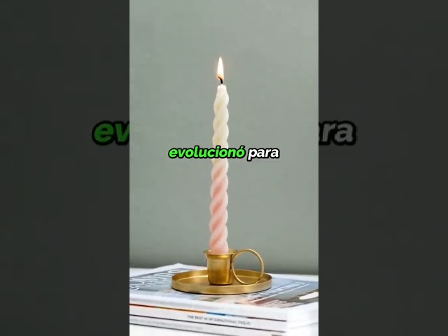 Vídeo relacionado con YOUEON Candelabro de 5 Brazos, 26 cm, de Bronce Antiguo, candelabro de Bronce para Velas de Pilar de 2,5 cm de diámetro, portavelas cónicos, decoración, Boda