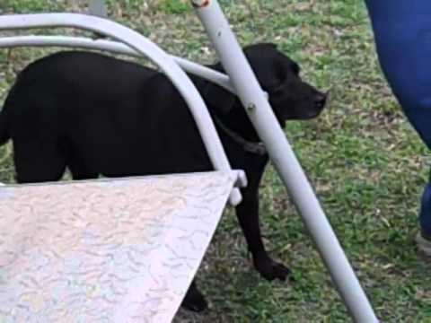 Messin wit Lakeesha at moms house