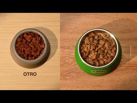 Sabrosobres® Dog Chow®: El sabor que tu perro no podrá resistir