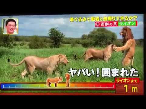 シュニーフェルナー号の大作戦