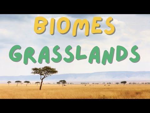Biomes:  Grasslands