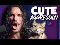 I Wrote A Metal Song About My Cat
