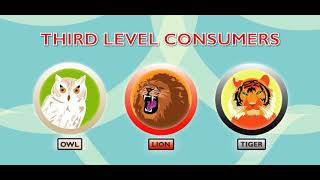 Scholastic - Study Jams - Food Chains