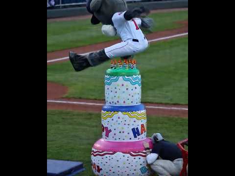 Nobody does a birthday like Slugger the Sea Dog! 🎂