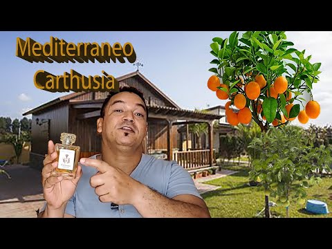 Carthusia. Mediterrâneo. Unissex.