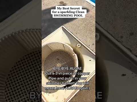 Getting rid of algae in your pool . Simply use a copper pipe;)