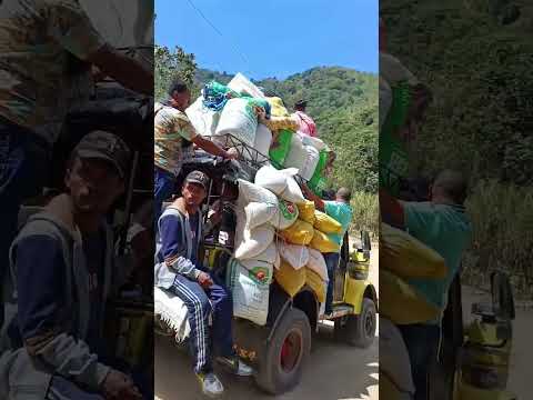 El carpati angelito de doña Nancy Guzman en Caicedo Antioquia #campo #carpati