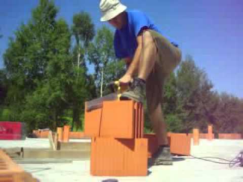 Pila Aligator DW 393