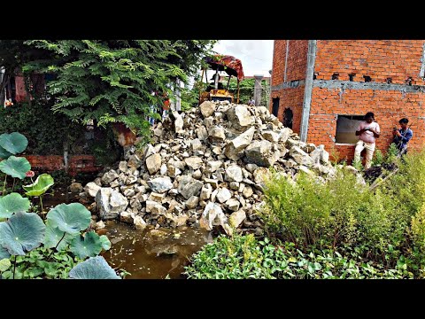 Fantastic New Project!! Filling Land By Bulldozer Komat'su D20P Push Stone with 5ton Trucks