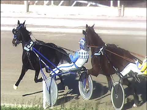 Trotto 24/12/2019 - 4ª corsa