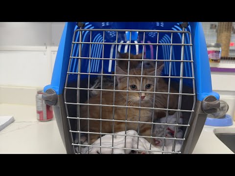 Kris is watching this and she’s mad