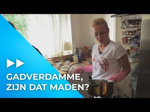 BAH! Een huis vol VLIEGEN! | Jouw Vrouw, Mijn Vrouw