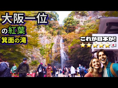 大阪の紅葉はここが一番すごい！🍁箕面の滝🌊2024年晩秋🎥阪急箕面駅から滝道を歩いてみた🚶‍♂️🌿