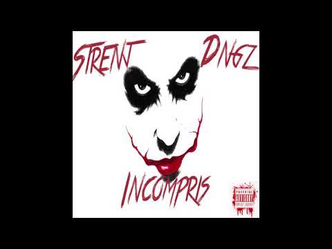 STRENJ - (Feat.DNGZ) - INCOMPRIS 🤡