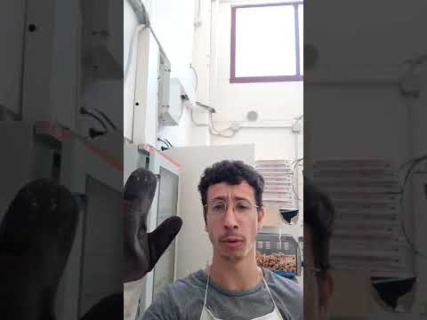 Ciao torero camomillo