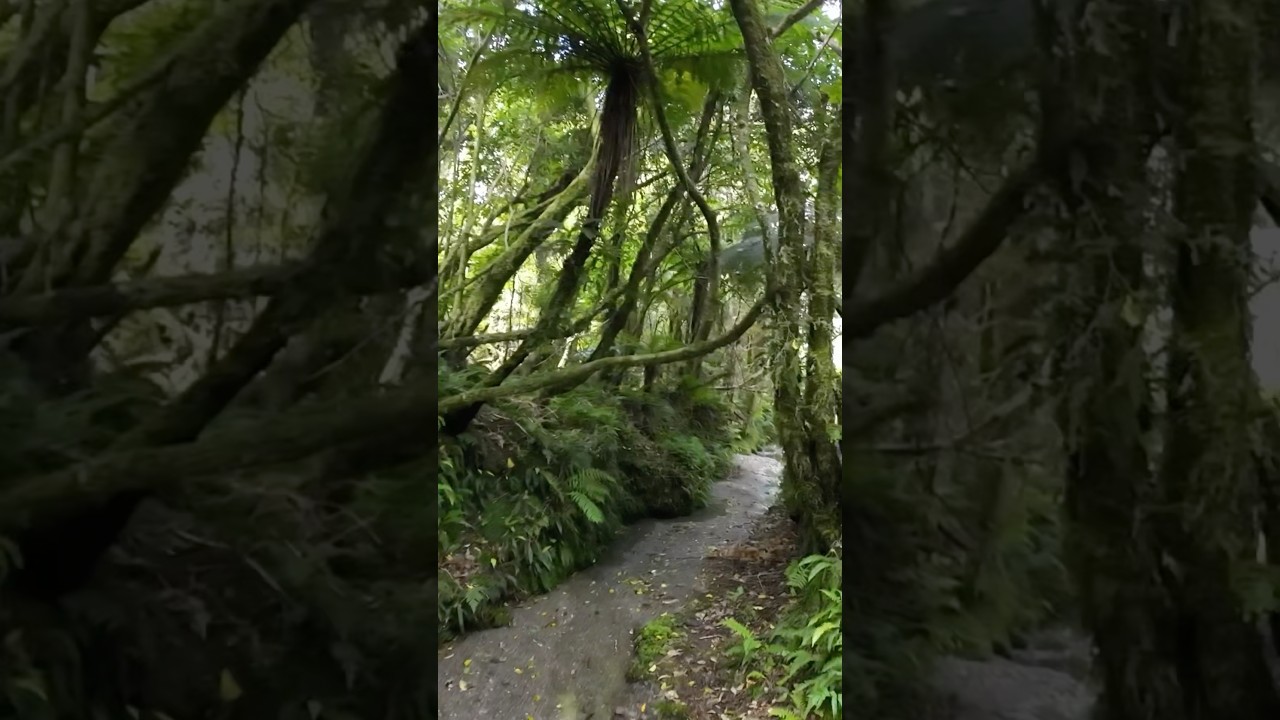 YouTube Short thumbnail