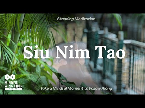 Wing Chun: Guided Siu Nim Tao Full Sequence 