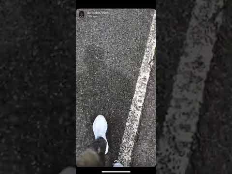 Scribz (67) Fresh Home