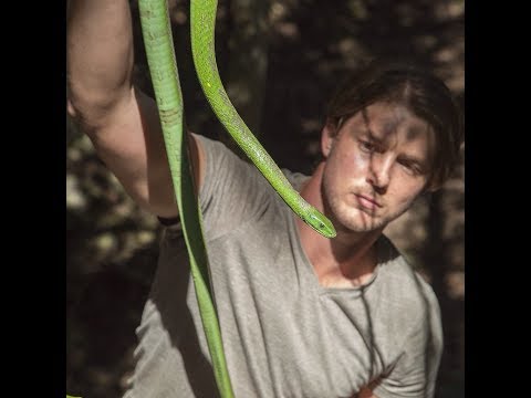 Green Mamba vs Human!