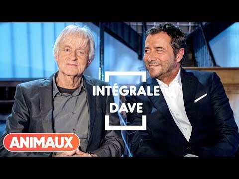 Dave est dans Animaux Stars - Animaux