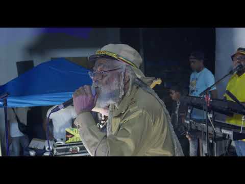 David Morrison   Lion Star Artist Showcase