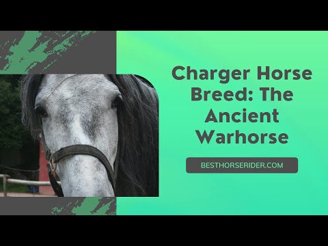 , title : 'Charger Horse Breed: The Ancient Warhorse'