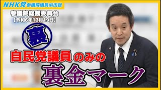 拉致問題と土井たか子、106万円の壁撤廃は詐欺？、兵庫県知事選挙とマスコミ報道の問題点、等について質問　参議院総務委員会2024年12月19日（木）