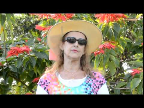 Nossa Mãe Santissima - Licionina Barreto