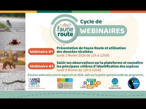 [Webinaire] Faune Route - Saisie en ligne et reconnaissance espèces