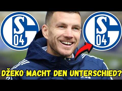 S04: Edin Džeko and Schalke 04: Why his transfer is more than just a move