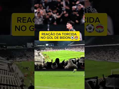 EXPLOSÃO NA NEO QUÍMICA! COMEMORAÇÃO INSANA DA FIEL NO GOL DE BRENO BIDON CONTRA O SÃO PAULO!