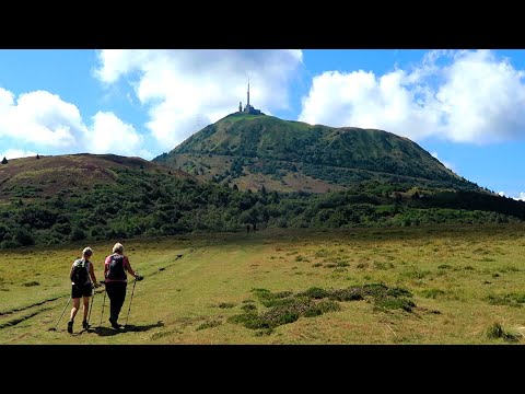 オーヴェルニュ地域の保護植物種のリスト - 定義
