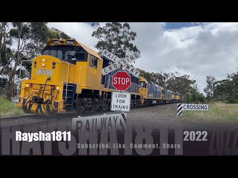 9154 - XR550-BL29-G528-XR554-XR552 (BG Grain) Navigators - Australian Trains by Raysha1811