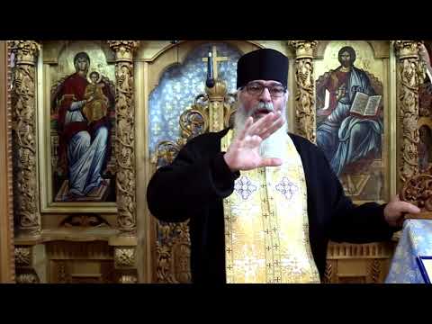 Vindecarea fiului lunatic  - 11 04 2021