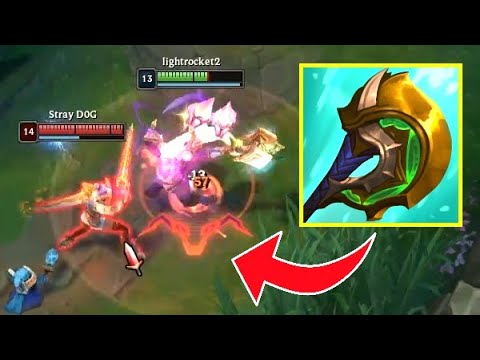 Shouldn't Fiora Counter Tanks?