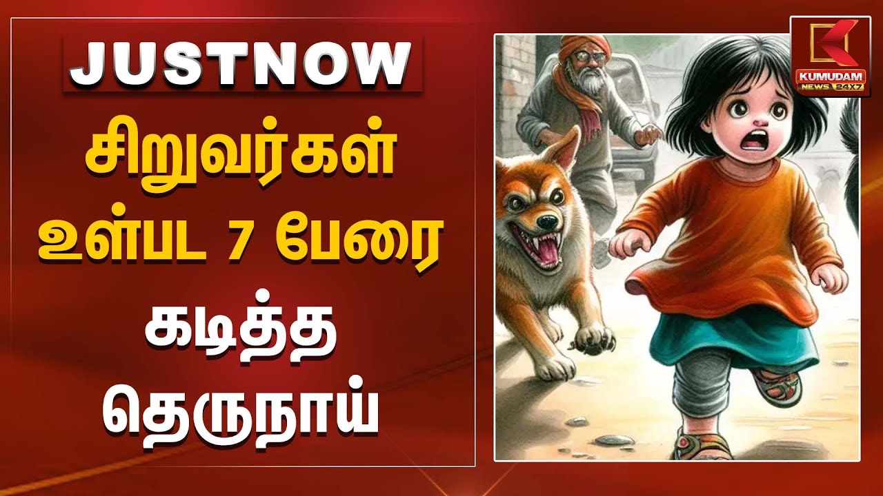 சிறுவர்கள் உள்பட 7 பேரை கடித்த தெருநாய் | Street Dog | Dog Biting