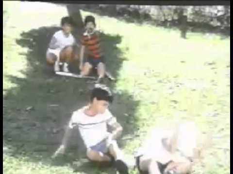 1985: Maggi India - Cricket