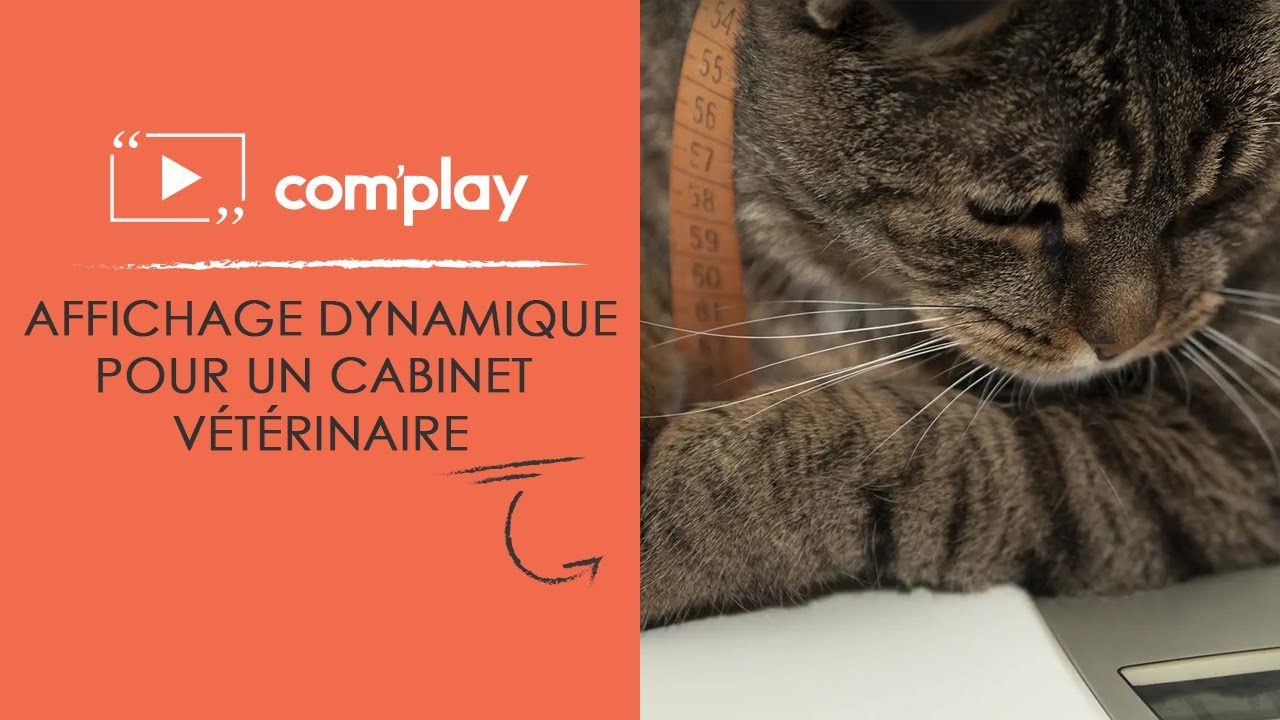 Image YouTube Affichage dynamique : exemple de diffusion pour un cabinet vétérinaire
