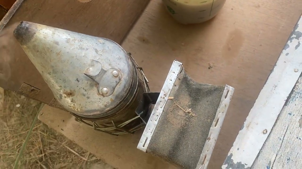 متابعة الخلايا لدخول قصل الخريف 