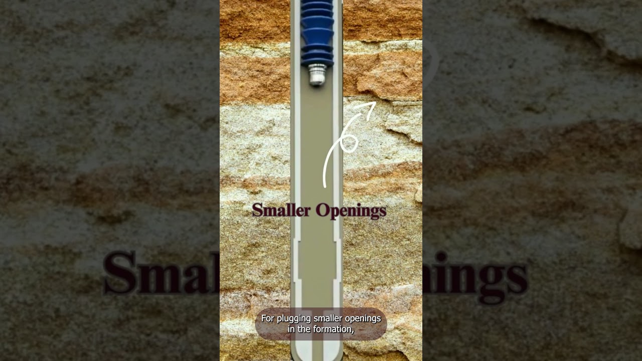 Lost Circulation Materials: Preventing Drilling Fluid Loss (New!)