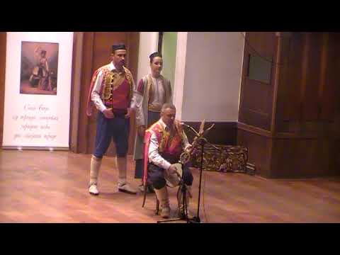 Guslar Milan Bojovic-Beograd Kolarac 2018