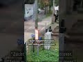 Vrachtwagen TREKT bovenleiding KAPOT | #shorts