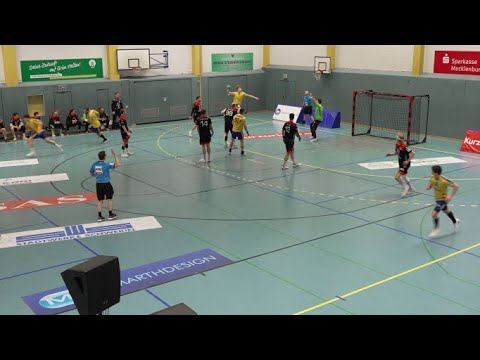 Mecklenburger Stiere treffen auf HSV Hannover