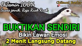 Download lagu Suara Pikat Ruak Ruak ||Ter Uji Sangat Ampuh 100%|| Super Ganas bikin lawan emosi mp3