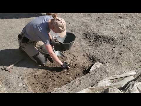 Top News - Nëntoka shqiptare në duart e trafikantëve/Pasuritë e grabitura, shiten në tregun e zi