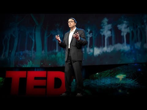 How will we survive when the population hits 10 billion? | Charles C. Mann