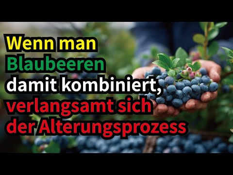 Wenn man Blaubeeren damit kombiniert, verlangsamt sich der Alterungsprozess