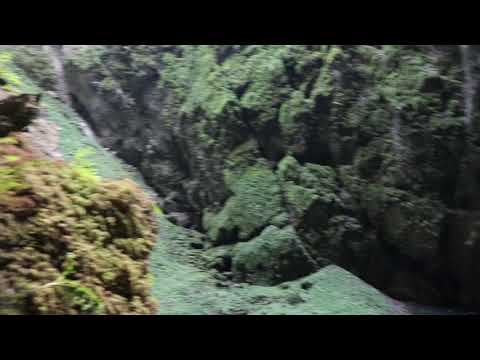 Ущелье в Моравии, где берёт начало пещера, внутри которой течёт река.