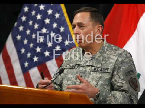 Back in Judy's Jungle