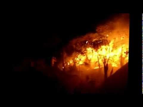 Plantar Fogo video